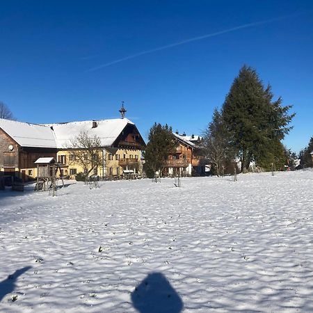 Obereggut Apartment Hof bei Salzburg Bagian luar foto