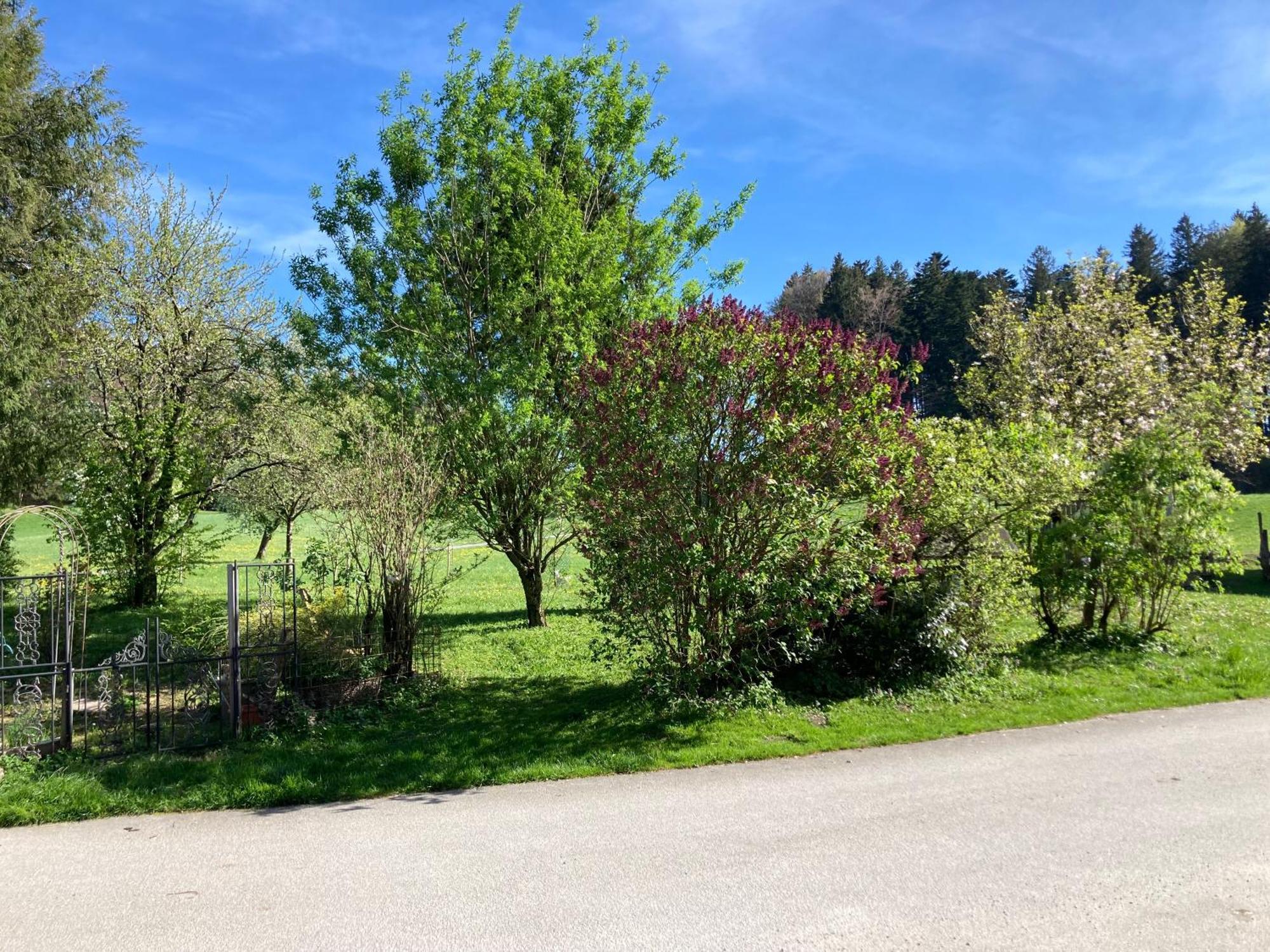 Obereggut Apartment Hof bei Salzburg Bagian luar foto