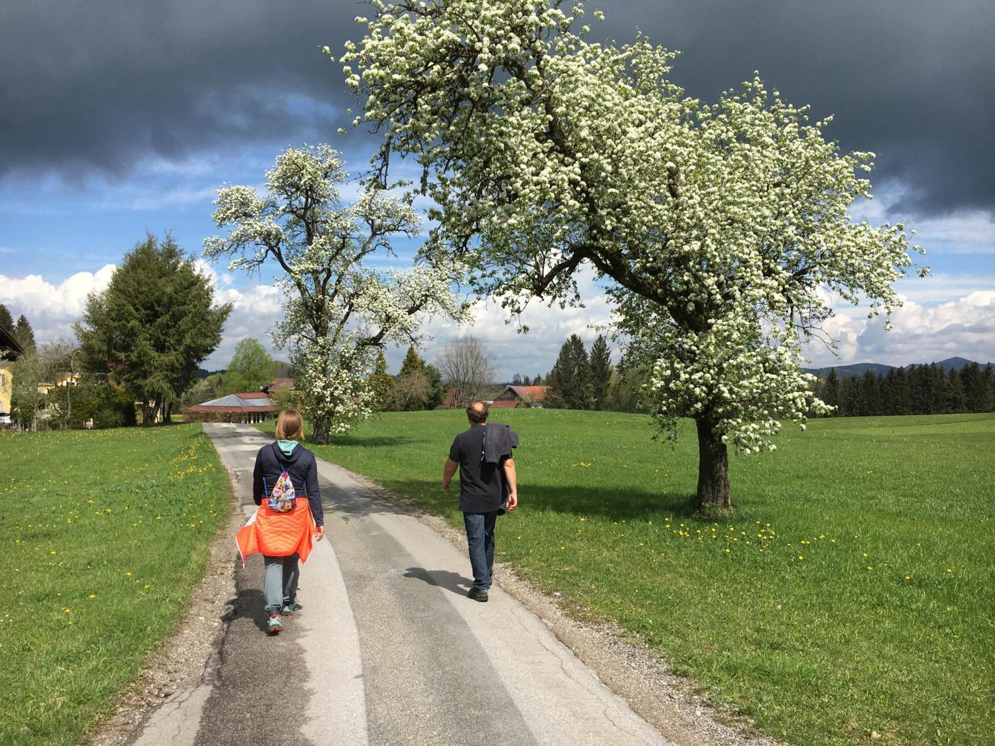 Obereggut Apartment Hof bei Salzburg Bagian luar foto