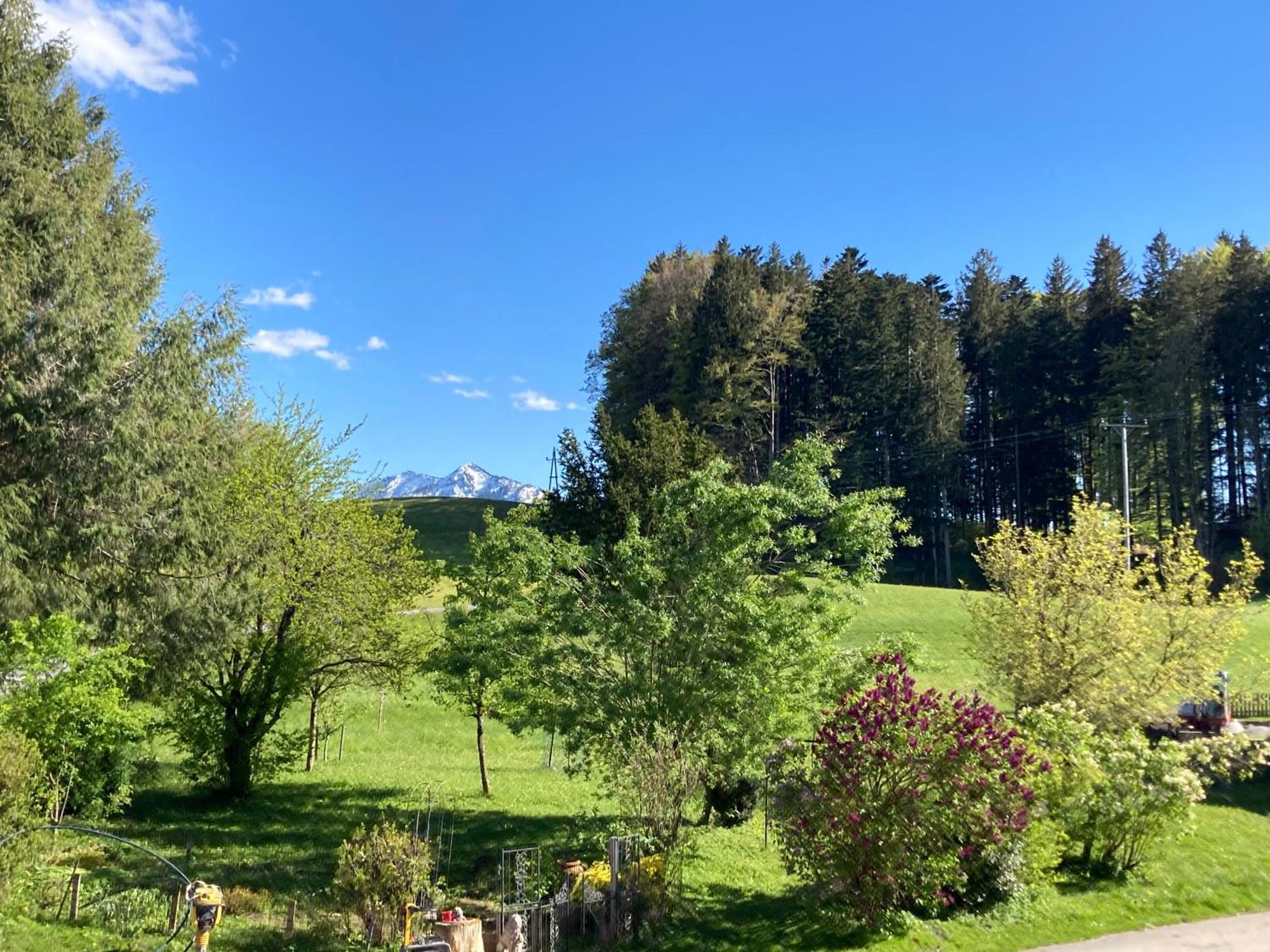 Obereggut Apartment Hof bei Salzburg Bagian luar foto