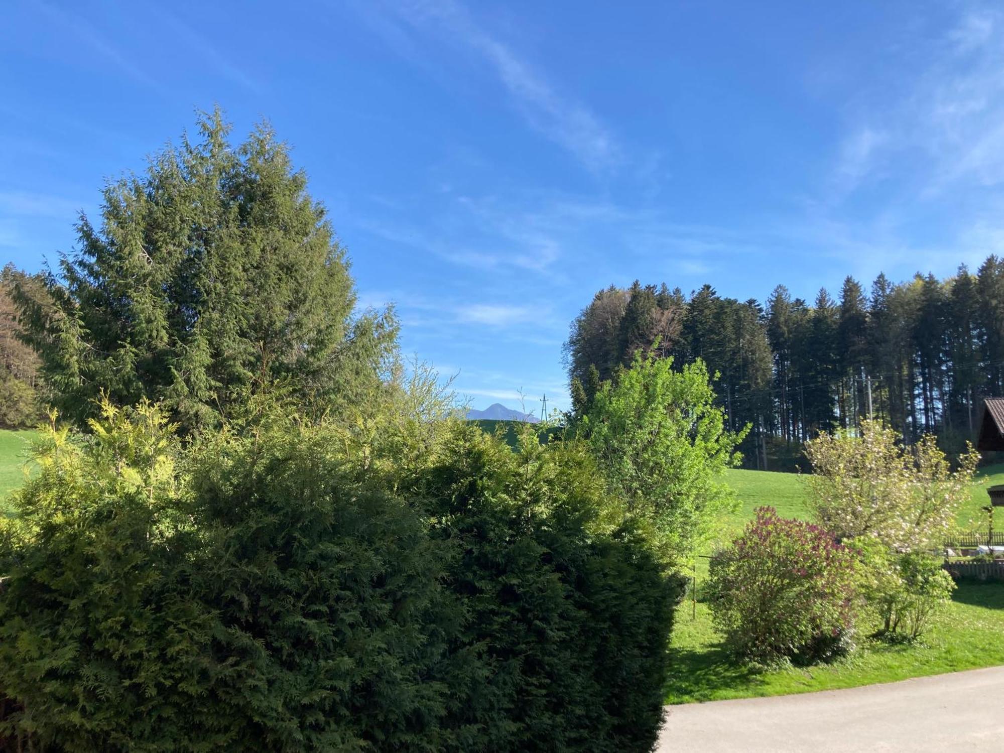 Obereggut Apartment Hof bei Salzburg Bagian luar foto