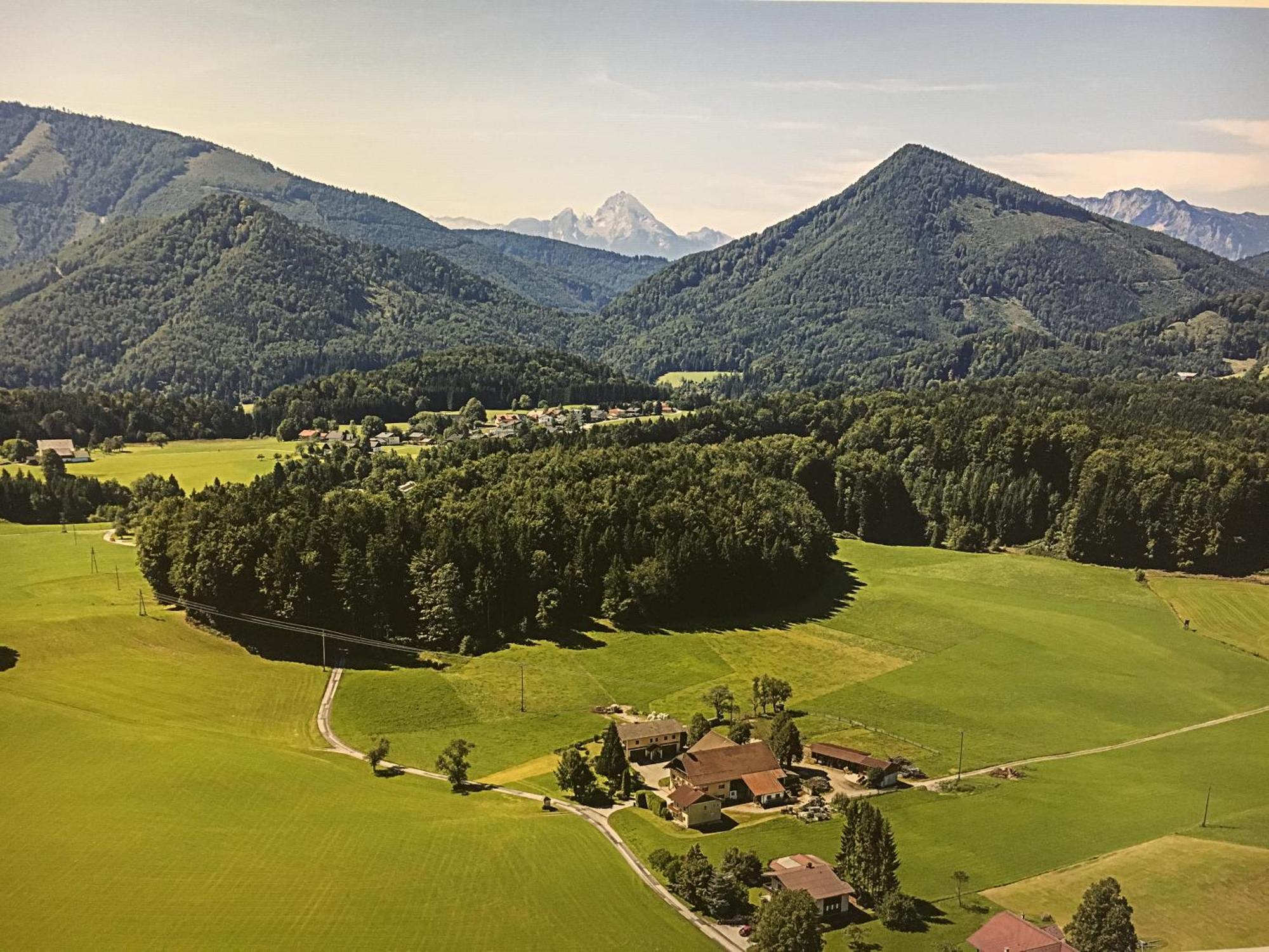 Obereggut Apartment Hof bei Salzburg Bagian luar foto