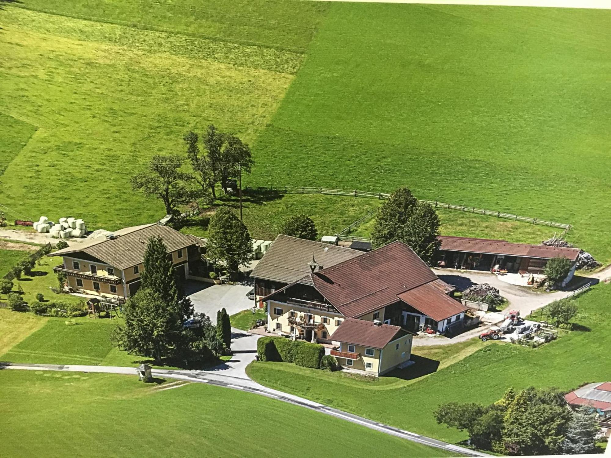 Obereggut Apartment Hof bei Salzburg Bagian luar foto
