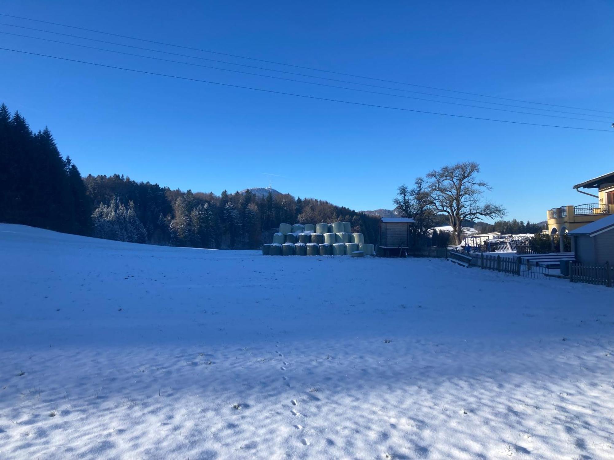 Obereggut Apartment Hof bei Salzburg Bagian luar foto