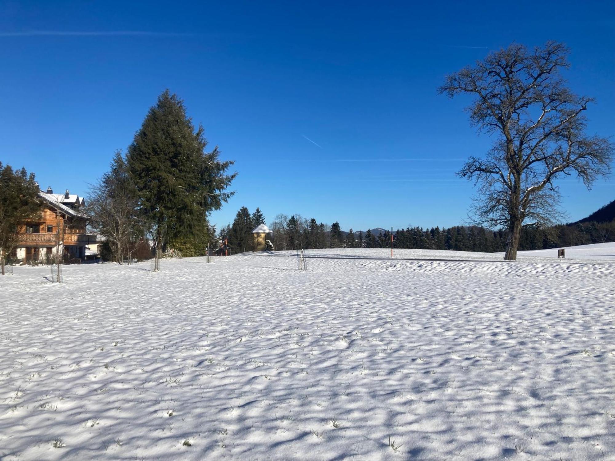 Obereggut Apartment Hof bei Salzburg Bagian luar foto